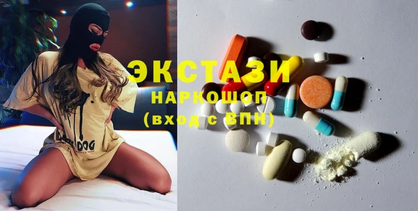 ECSTASY Богданович